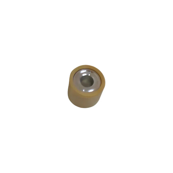 Massa Centrifuga Pin Roller Variatore Originale Aprilia Leonardo Scarabeo 125 150 Rotax 1996-2005 - Moon Bike - Vista 1