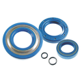 CIF Serie Paraoli Motore (Kit Completo) – Ape 50 FL2 – Aftermarket