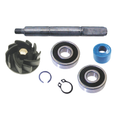 CIF Kit Revisione Pompa Acqua – Piaggio Hexagon / Gilera Runner 125-180 – Aftermarket