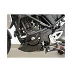 RD Moto Paramotore, Honda CB300R '18-'19 Paramotore Moto