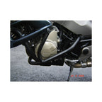 RD Moto Paramotore, Honda X11 '99-'03 Paramotore Moto