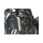 RD Moto Paramotore Kawasaki Vulcan 650 '15-'18 Paramotore Moto