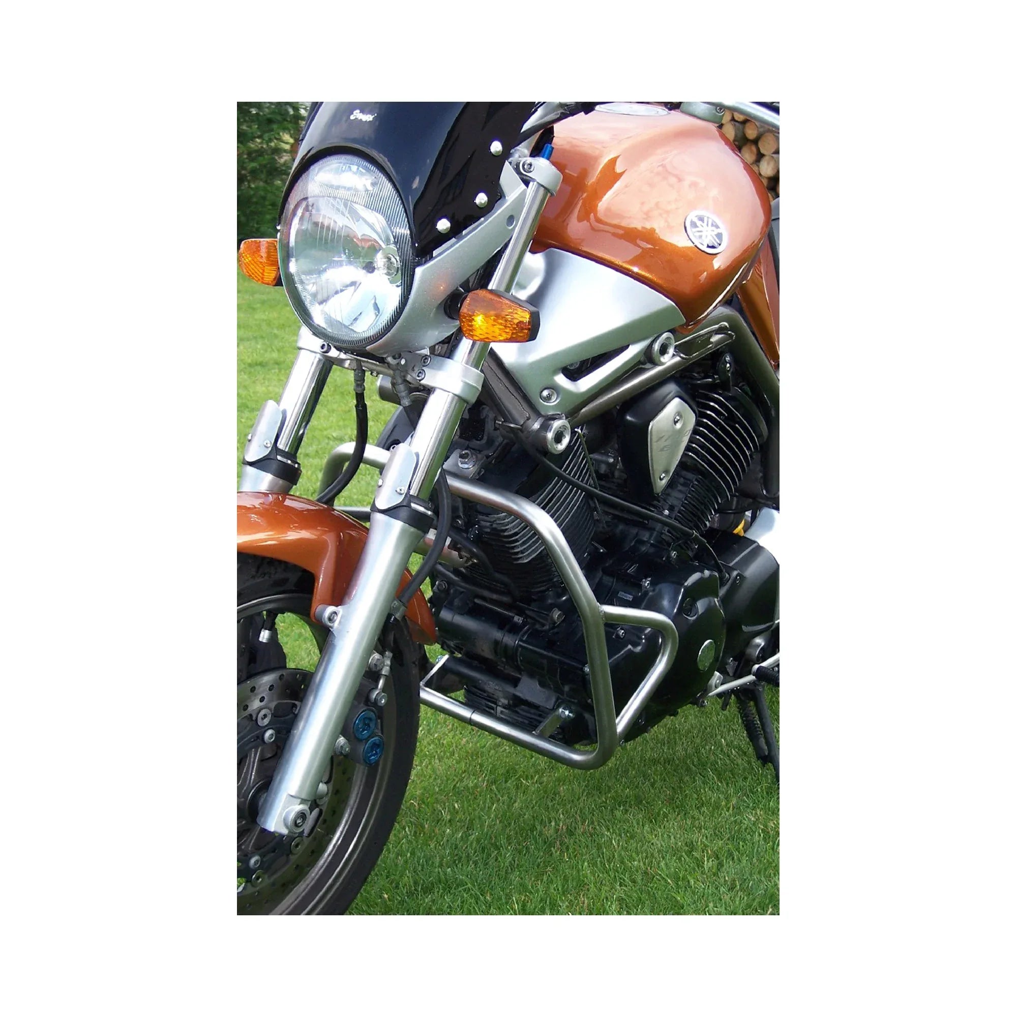 RD Moto Paramotore Yamaha BT 1100 Bulldog '01-'07 Paramotore Moto