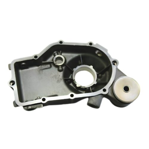 Carter differenziale Piaggio 1269255 - ricambio originale per Ape 50 P prima serie